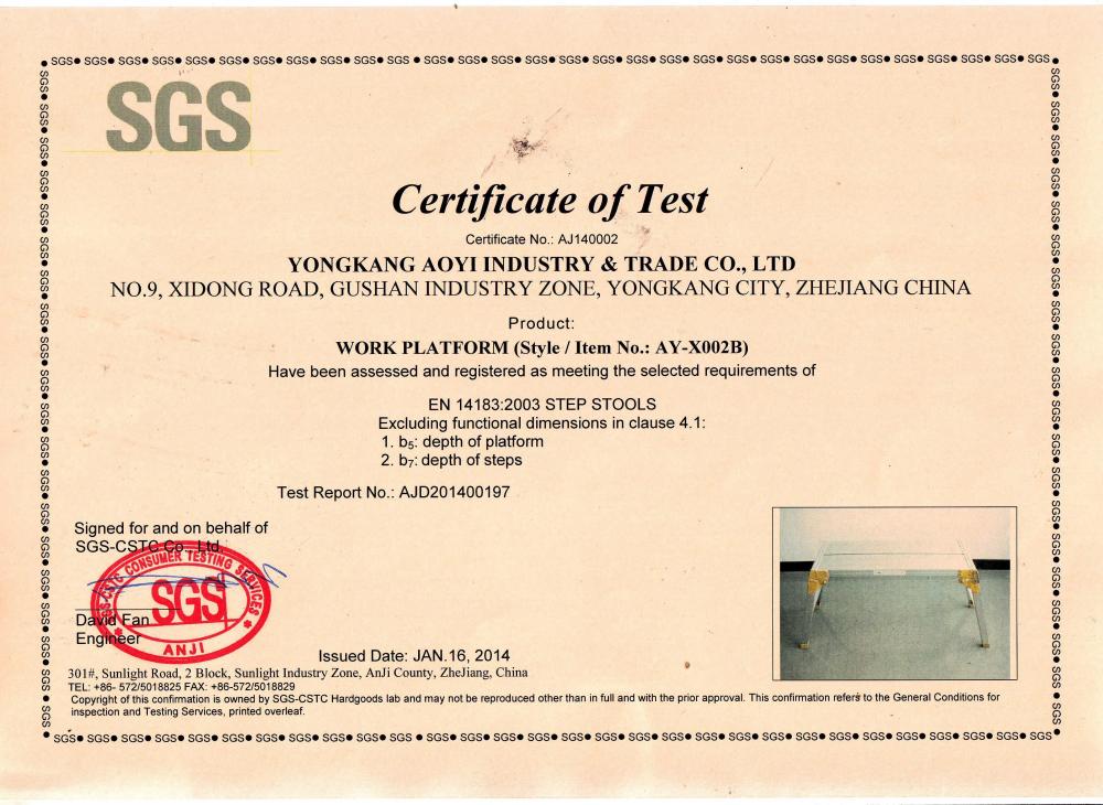 SGS-X002 WORKING PLATFORM 