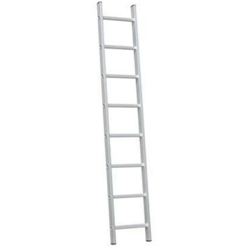 6m single straight ladder