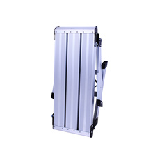 AY-X003 working platform ladder